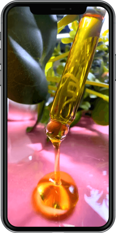 Ahava